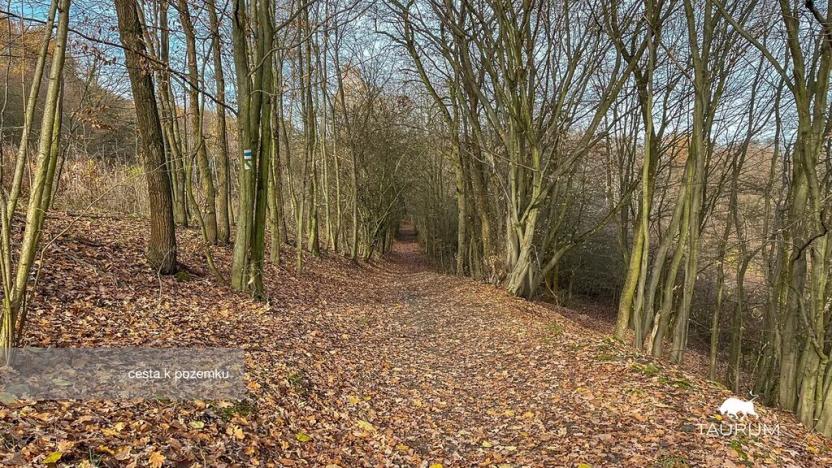 Prodej pozemku, Jílové u Prahy, 3438 m2