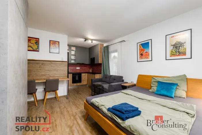 Prodej bytu 2+kk, Plzeň - Východní Předměstí, Kartónová, 56 m2