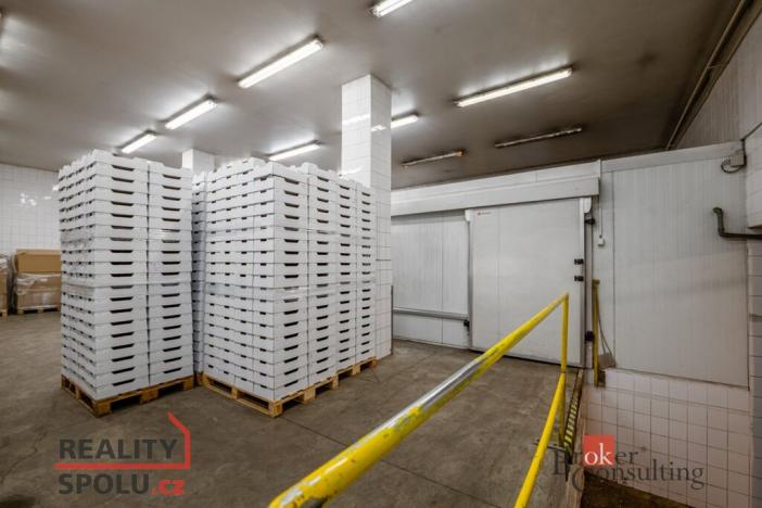Prodej výrobních prostor, Kaznějov, Pod Továrnou, 6551 m2