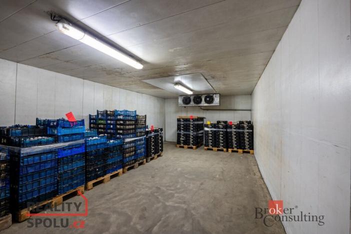 Prodej výrobních prostor, Kaznějov, Pod Továrnou, 6551 m2