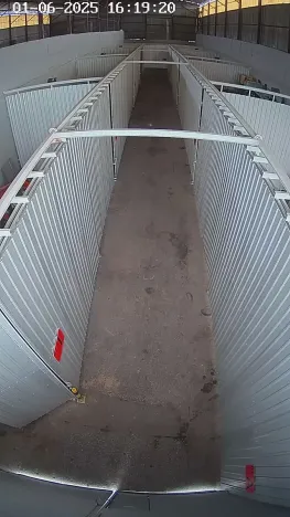 Pronájem skladu, Sedliště, 55 m2