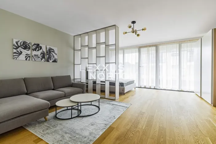 Pronájem bytu 1+kk, Praha - Vinohrady, Dudova, 57 m2