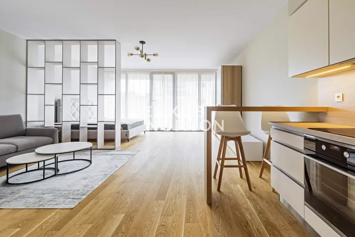 Pronájem bytu 1+kk, Praha - Vinohrady, Dudova, 57 m2