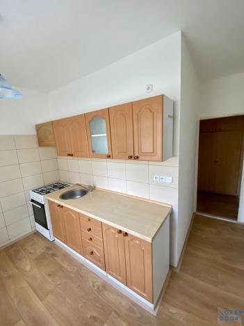 Pronájem bytu 1+1, Habartov, Karla Čapka, 36 m2