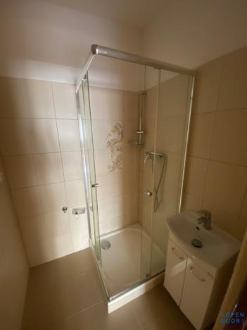 Pronájem bytu 1+1, Habartov, Karla Čapka, 36 m2