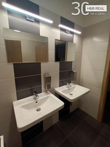 Pronájem kanceláře, Ostrava, 303 m2