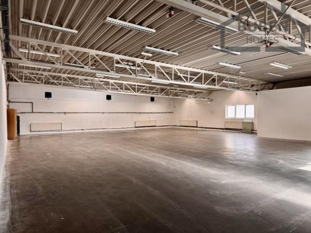 Pronájem výrobních prostor, Staré Sedliště, 613 m2