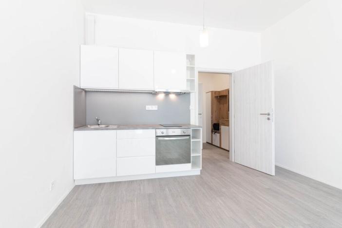Pronájem bytu 1+kk, Olomouc, Wolkerova, 31 m2
