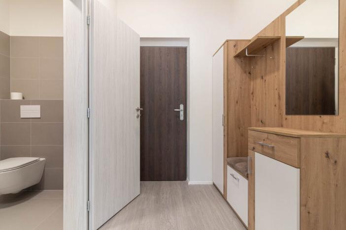 Pronájem bytu 1+kk, Olomouc, Wolkerova, 31 m2