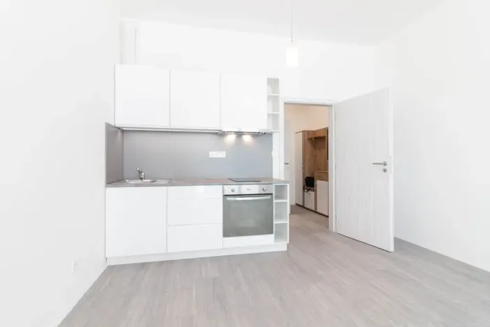 Pronájem bytu 1+kk, Olomouc, Wolkerova, 31 m2