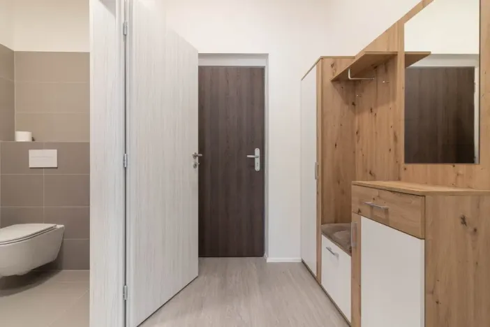 Pronájem bytu 1+kk, Olomouc, Wolkerova, 31 m2