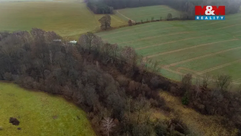 Prodej louky, Bílá - Hradčany, 6046 m2