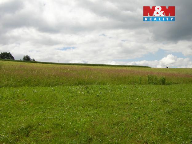 Prodej zahrady, Benecko, 4214 m2