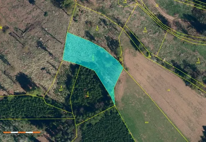 Prodej lesa, Staré Bříště, 3075 m2