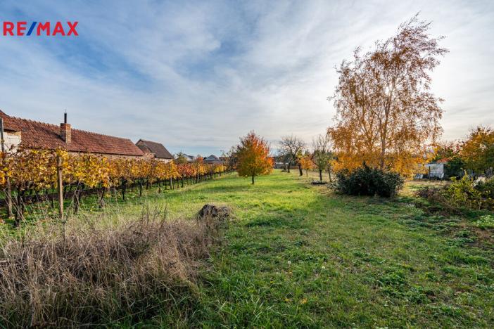 Prodej rodinného domu, Šakvice, 200 m2