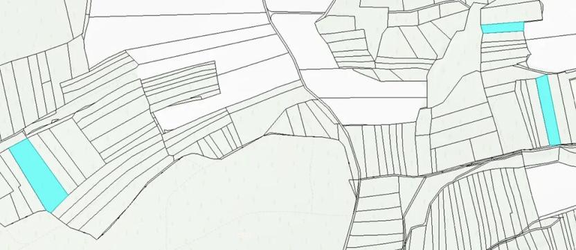 Dražba lesa, Blížejov, 16569 m2