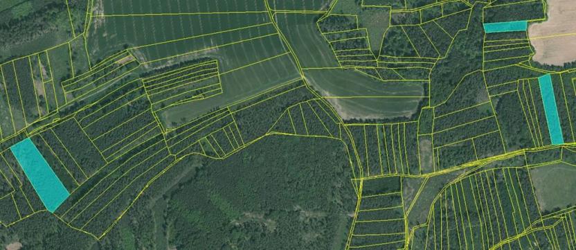 Dražba lesa, Blížejov, 16569 m2