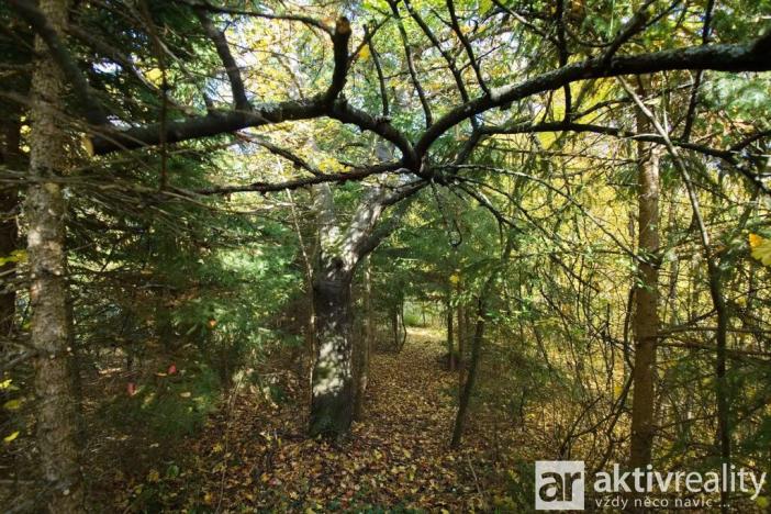 Prodej zahrady, Brno, Jámy, 2116 m2