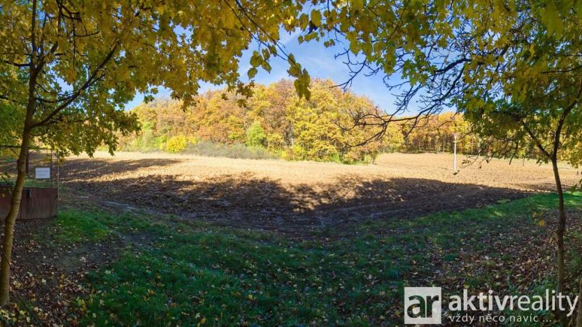 Prodej zahrady, Brno, Jámy, 2116 m2