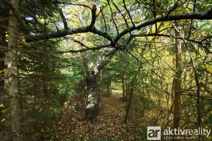 Prodej zahrady, Brno, Jámy, 2116 m2