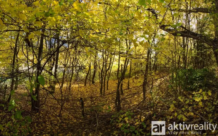 Prodej zahrady, Brno, Jámy, 2116 m2