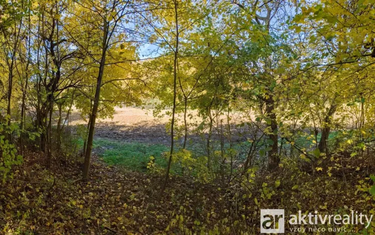 Prodej zahrady, Brno, Jámy, 2116 m2