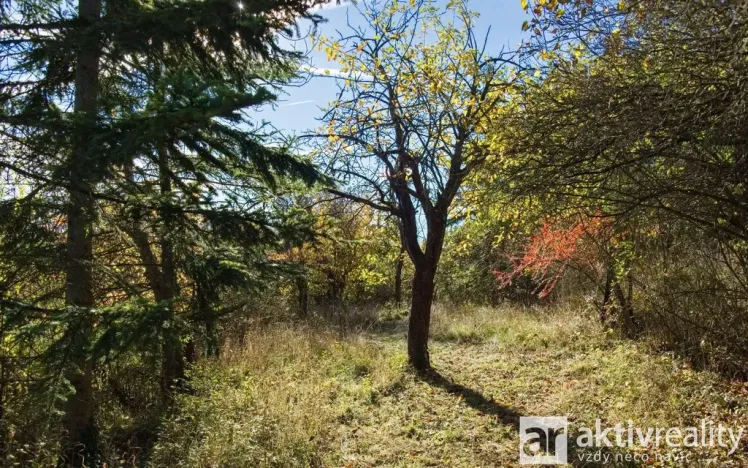 Prodej zahrady, Brno, Jámy, 2116 m2