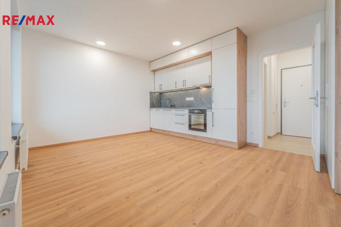 Pronájem bytu 1+kk, Praha - Žižkov, Olgy Havlové, 32 m2