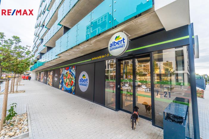 Pronájem bytu 1+kk, Praha - Žižkov, Olgy Havlové, 32 m2