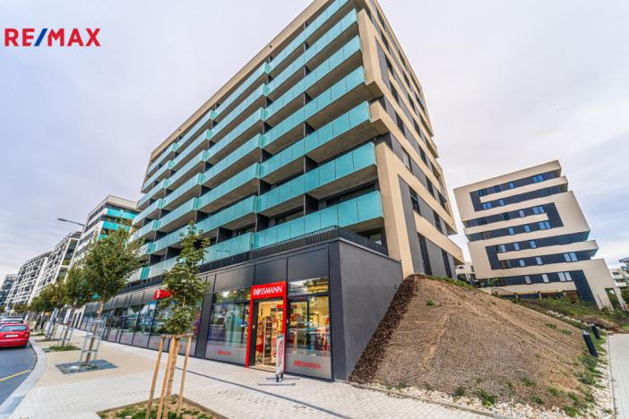 Pronájem bytu 1+kk, Praha - Žižkov, Olgy Havlové, 32 m2