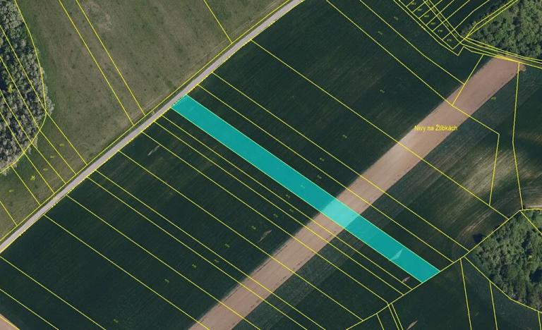 Prodej pole, Diváky, 4049 m2