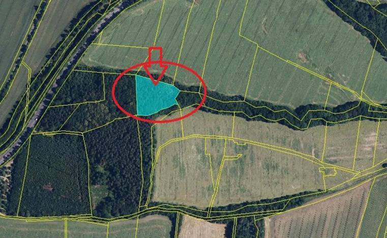 Prodej lesa, Mohelnice, 6148 m2