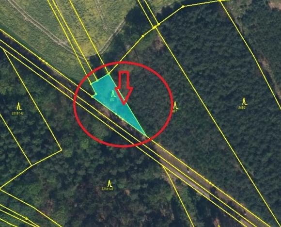 Prodej lesa, Bolehošť, 3558 m2