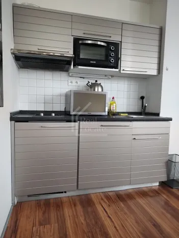 Prodej bytu 1+kk, Praha - Karlín, Molákova, 36 m2