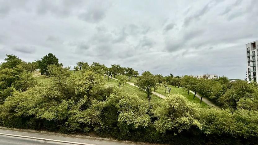 Prodej bytu 2+kk, Praha - Žižkov, Spojovací, 44 m2