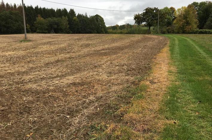 Prodej sadu/vinice, Troskovice, 8502 m2