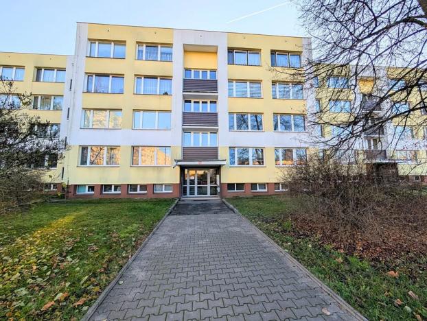 Pronájem bytu 1+1, Mladá Boleslav, U stadionu, 45 m2