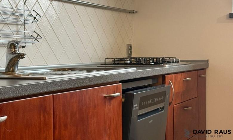 Pronájem bytu 1+kk, Brno - Veveří, Gorkého, 61 m2