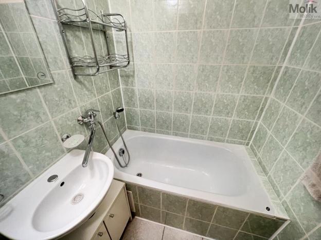 Pronájem bytu 2+1, Teplice, Libušina, 54 m2