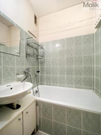 Pronájem bytu 2+1, Teplice, Libušina, 54 m2