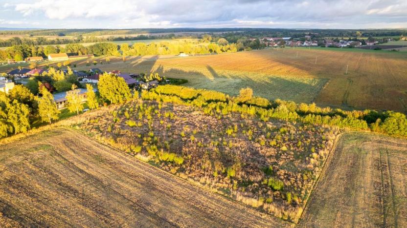 Prodej pozemku pro bydlení, Smidary, J. A. Komenského, 6666 m2