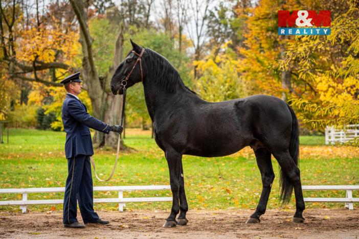 Prodej chaty, Slatiňany - Kunčí, 36 m2