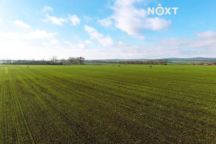 Prodej pozemku pro bydlení, Lednice, 4530 m2