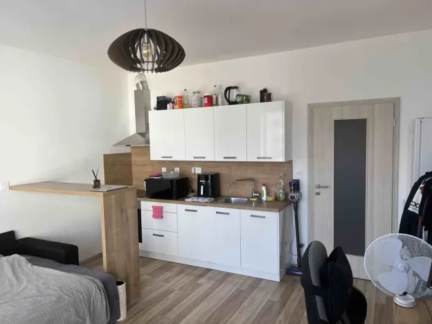 Pronájem bytu 1+kk, České Budějovice - České Budějovice 2, Volejbalistů, 28 m2