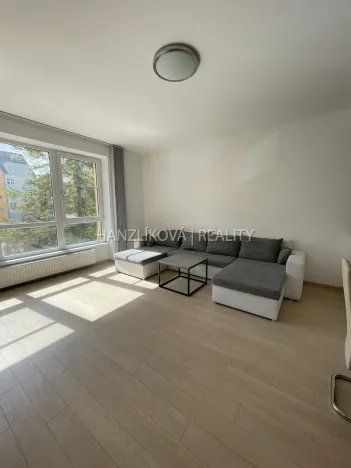 Pronájem bytu 3+kk, České Budějovice - České Budějovice 3, B. Smetany, 86 m2