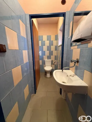 Pronájem atypického bytu, Strmilov - Česká Olešná, 100 m2