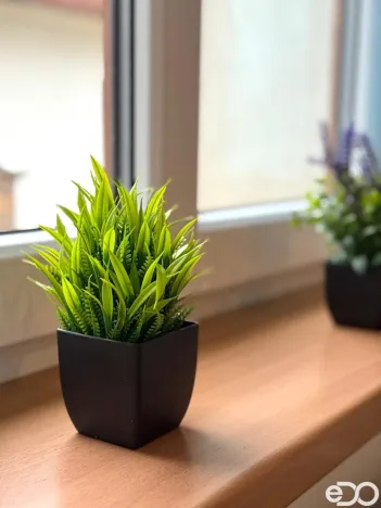 Pronájem atypického bytu, Strmilov - Česká Olešná, 100 m2