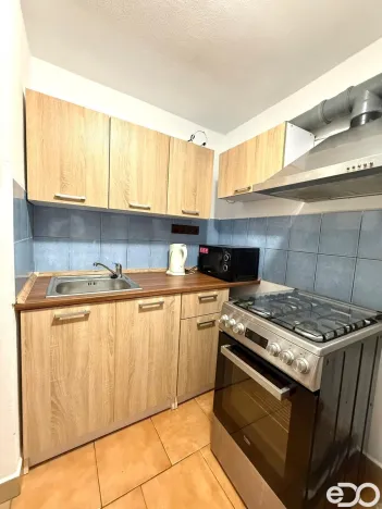 Pronájem atypického bytu, Strmilov - Česká Olešná, 100 m2