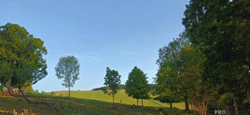 Prodej pozemku pro bydlení, Malá Morava - Křivá Voda, 1669 m2