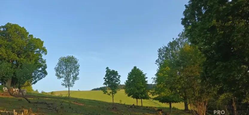 Prodej pozemku pro bydlení, Malá Morava - Křivá Voda, 1669 m2